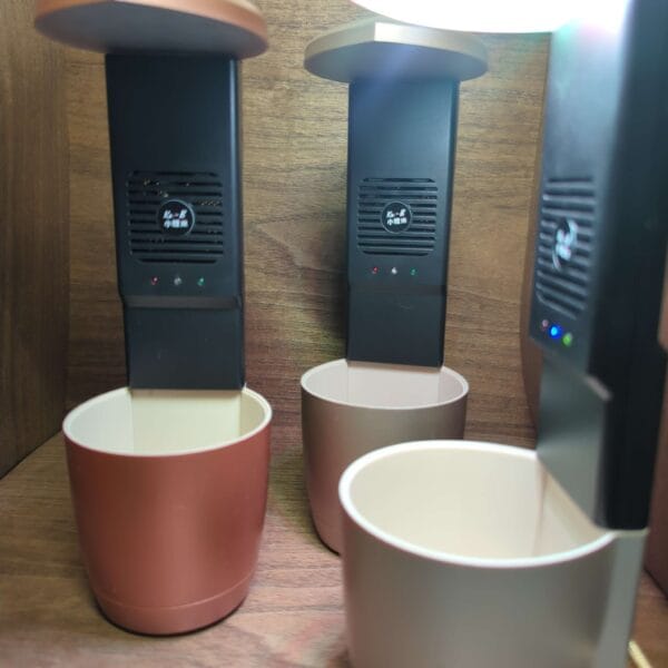 Beautiful Flower Pot House & Office Decoration
